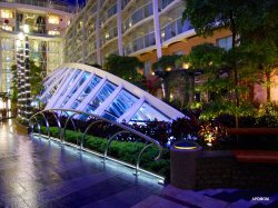 Allure of the Seas Central Park picture