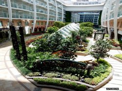 Allure of the Seas Central Park picture