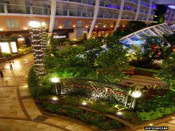 Allure of the Seas Central Park picture