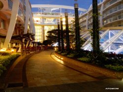 Allure of the Seas Central Park picture