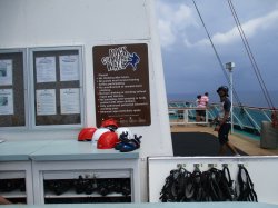 Rock Climbing Wall picture
