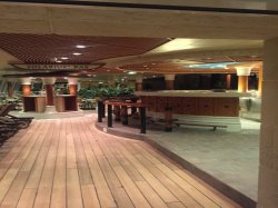 Radiance of the Seas Solarium picture