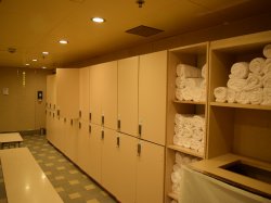 Carnival Triumph Spa and Fitness Center picture