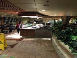 Radiance of the Seas Solarium picture