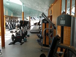Carnival Sunshine Cloud 9 Fitness Center picture