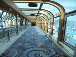 Golden Princess Skywalkers Nightclub picture