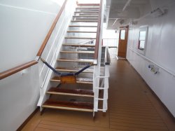 Nieuw Amsterdam Panorama Deck picture