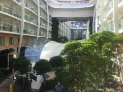 Allure of the Seas Central Park picture