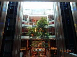 Celebrity Equinox Team Earth picture