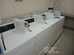 Caribbean Princess Laundry picture