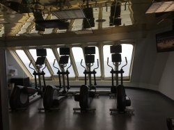 Carnival Inspiration Gymnasium picture Uploaded in 2017 Photo courtesy of Janet Harding. Carnival Inspiration Gymnasium picture