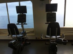 Carnival Inspiration Gymnasium picture Uploaded in 2017 Photo courtesy of Janet Harding. Carnival Inspiration Gymnasium picture