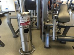 Carnival Inspiration Gymnasium picture Uploaded in 2017 Photo courtesy of Janet Harding. Carnival Inspiration Gymnasium picture
