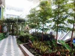 Harmony of the Seas Central Park picture