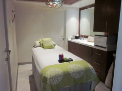 Disney Wonder Vista Spa & Salon picture