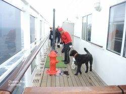 Queen Mary Kennels picture