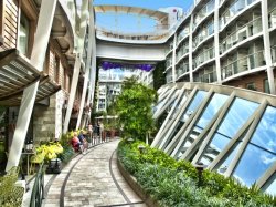 Allure of the Seas Central Park picture