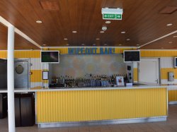 Harmony of the Seas Wipe Out Bar picture