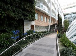 Allure of the Seas Central Park picture