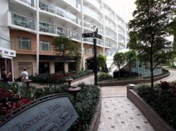 Allure of the Seas Central Park picture