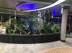 MSC Seaside Jungle Pool picture