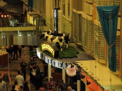 Independence of the Seas Royal Promenade picture