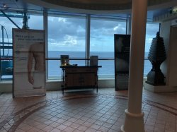 Serenade of the Seas Spa & Fitness Center picture