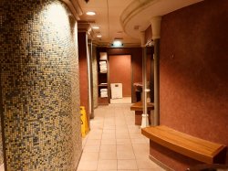 Serenade of the Seas Spa & Fitness Center picture