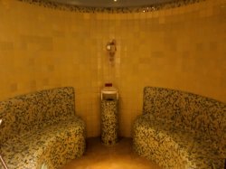 Serenade of the Seas Spa & Fitness Center picture