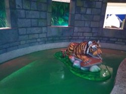 MSC Seaside Forest Aquaventure Park picture