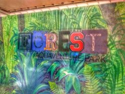 MSC Seaside Forest Aquaventure Park picture