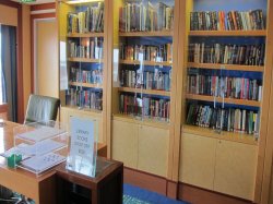 Norwegian Jade Library picture